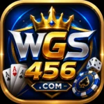 wgs456 icon