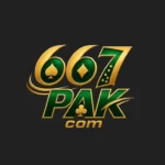 667 game