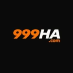 999HA Game