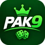 pak9 game